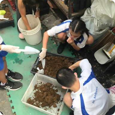 Vermiculture class